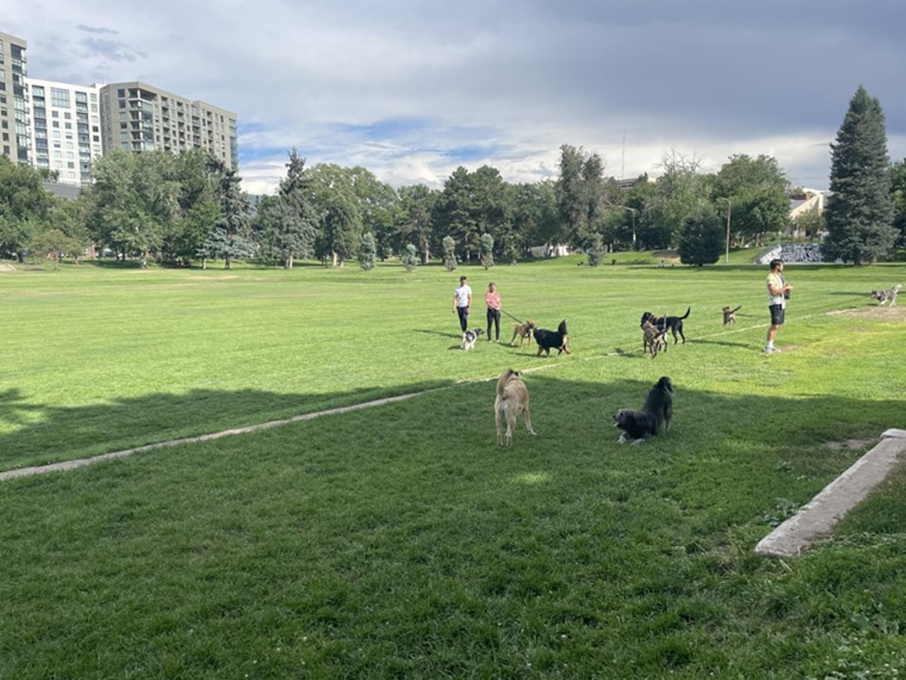 Illegal "dog parties" like this one in Sunken Gardens Park are one area where the parks department has conflicted with residents.