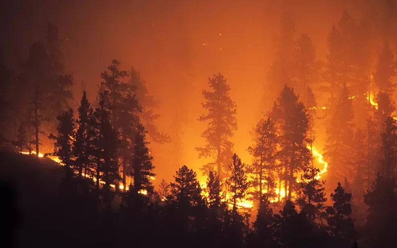Image: mountain fire burning trees