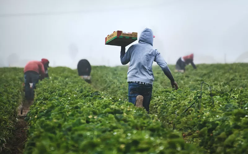 Image: CSU's Prison Agriculture Lab Focuses on Penal Labor
