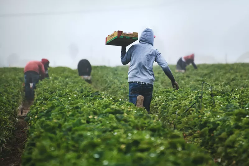 Image: Farming is just one type of agricultural work prisoners take part in through prison programs.