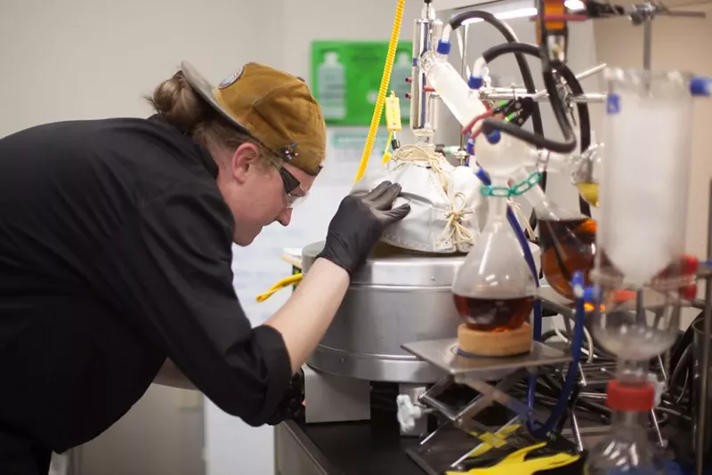 Image: Charlotte's Web hopes the study will eventually lead to a new formula catering to specific conditions.