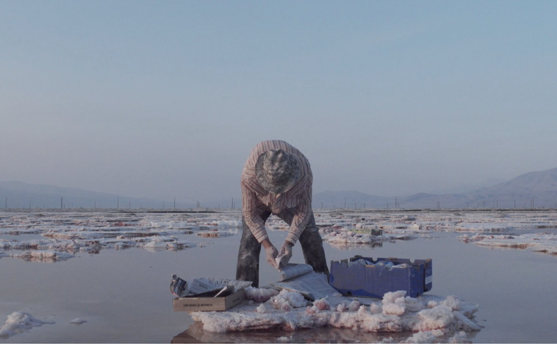 Image: Mimesis Continues a Legacy of Avant-Garde Documentary Filmmaking
