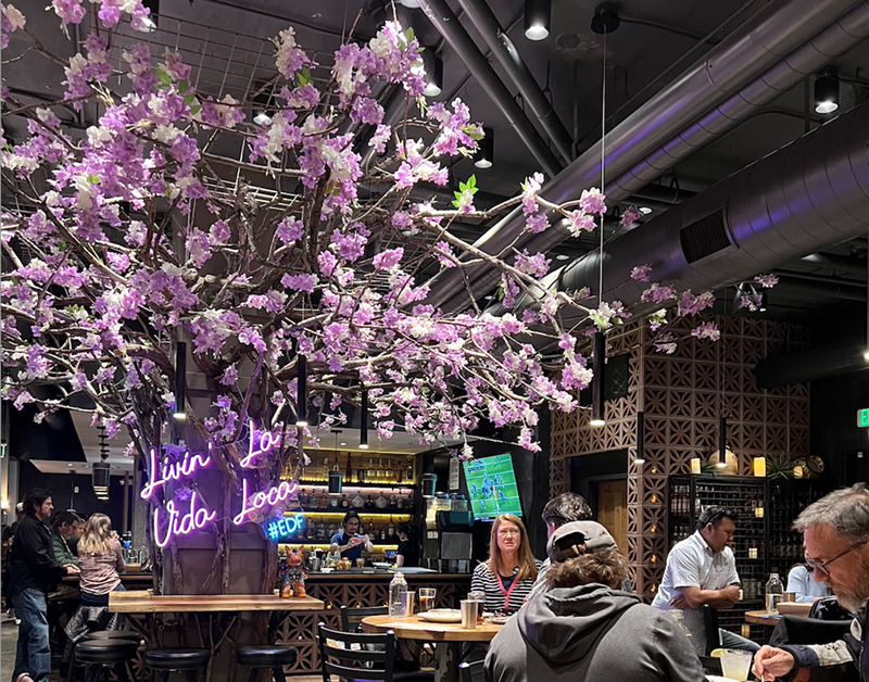 Denver Chef Dana Rodriguez Closes Cantina Loca Westword