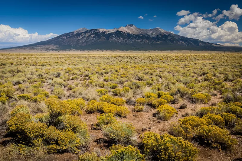 Image: Democrats say the Trump administration's plans to relocate hundreds of top Bureau of Land Management staffers to the West is a veiled attempt to reduce environmental oversight.