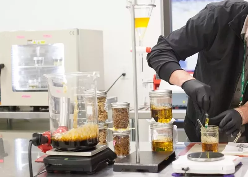 Image: Cannabis research could finally get a federal go-ahead in Colorado.