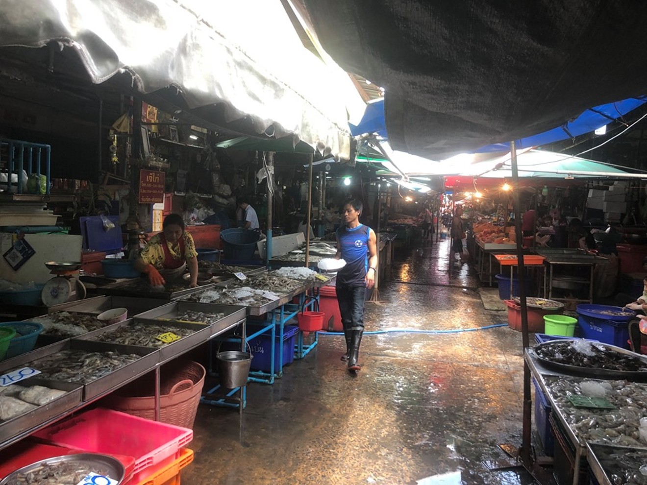 The seafood section of Bangkok's Khlong Toei wet market.