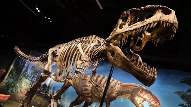 Image: Denver Museum of Nature & Science