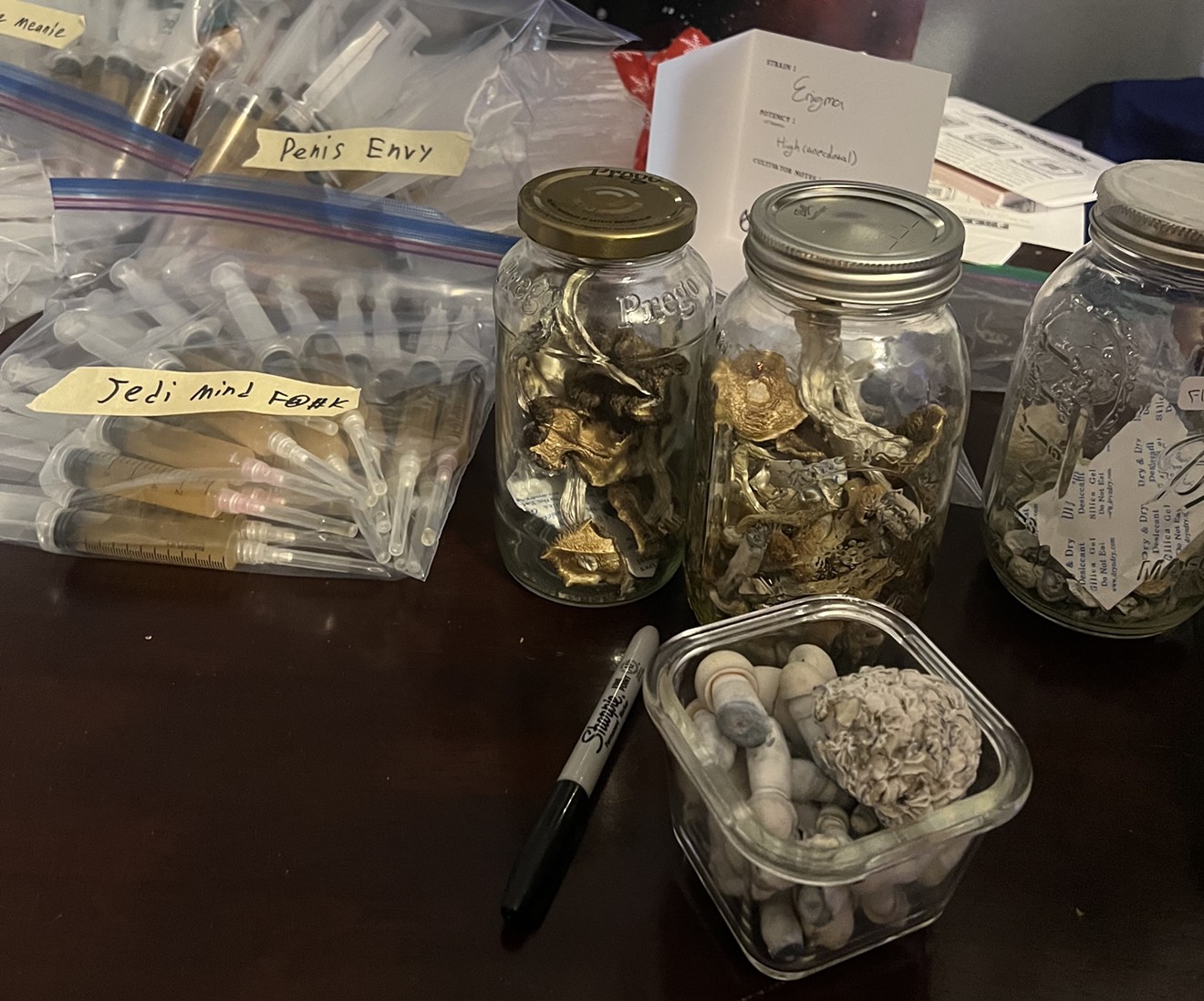 The Denver Mushroom Cooperative's Gifting Portal event facilitated the gifting and trading of psilocybin mushrooms, spores and more on Thursday, December 21.