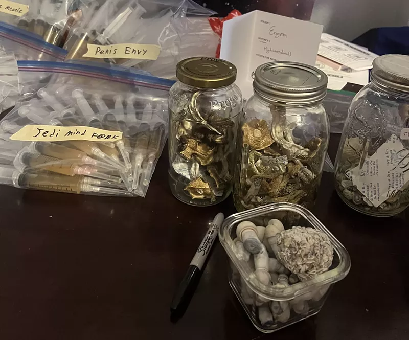 Image: Psilocybin mushrooms and spores on display