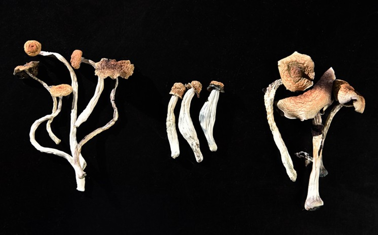 Two juveniles have been arrested for possession of psychedelic mushrooms.