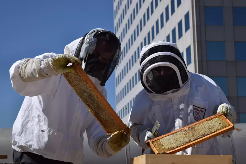 Image: Beekeeper Ed Moore and General Manager Nick Moschetti harvest honey on the roof of the Brown Palace Hotel and Spa.