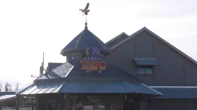 Image: Denver Zoo