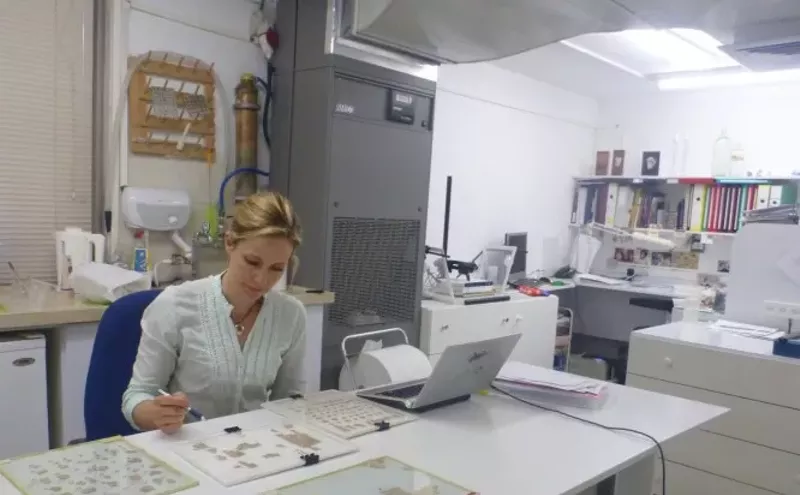 Image: Denver's Dead Sea Scrolls Scholar on Why They Matter Today