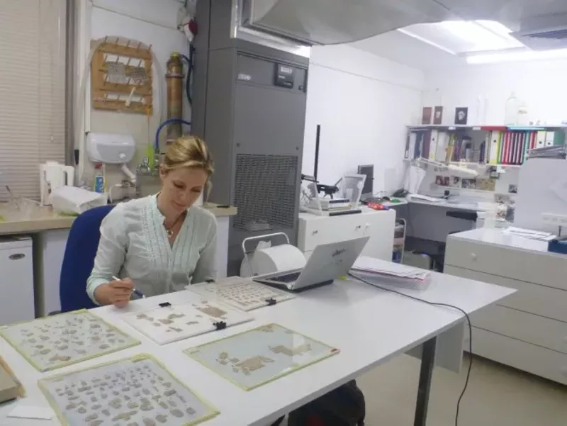 Image: Alison Schofield works inside a lab at the Israel Museum.