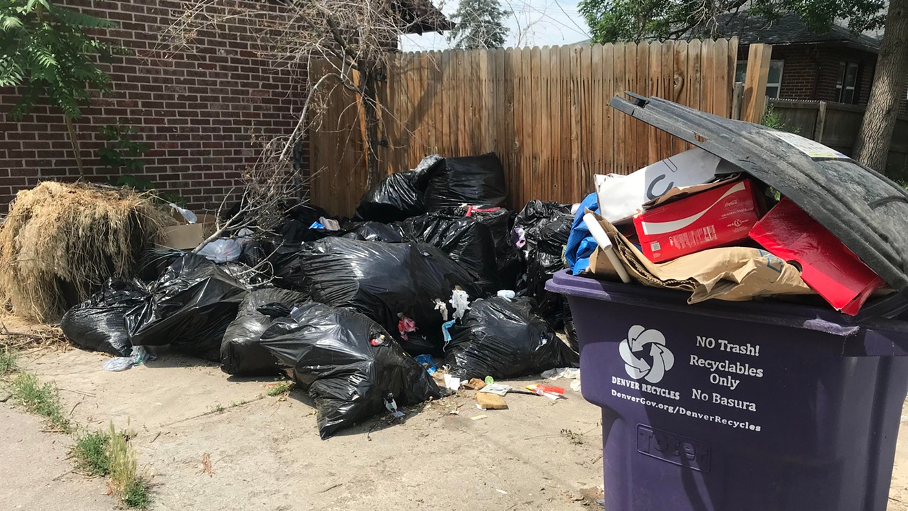 This pile of trash behind a residence in the Skyland neighborhood attracted rats and raccoons for weeks.