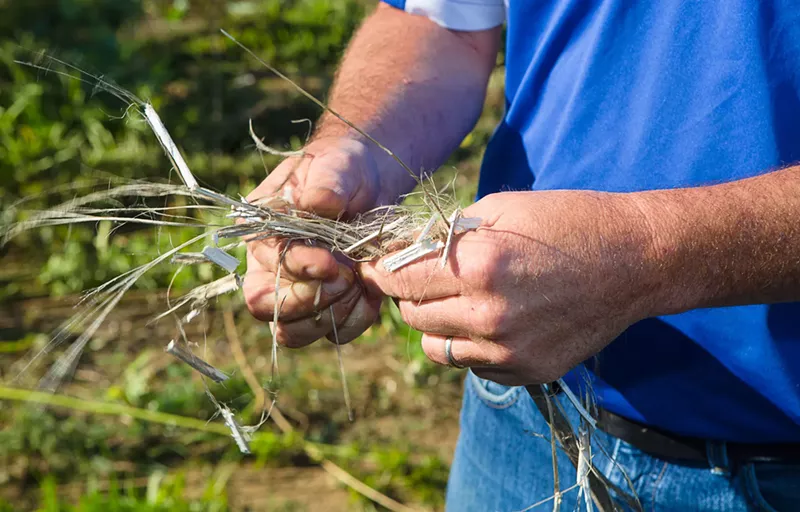 Image: Colorado only has one functional hemp processing machine, according to the state Department of Agriculture.