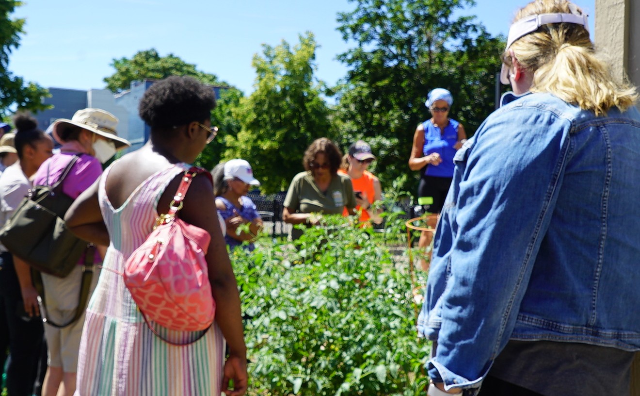 Denver Urban Gardens Continues to Grow Its Impact With Food Forests