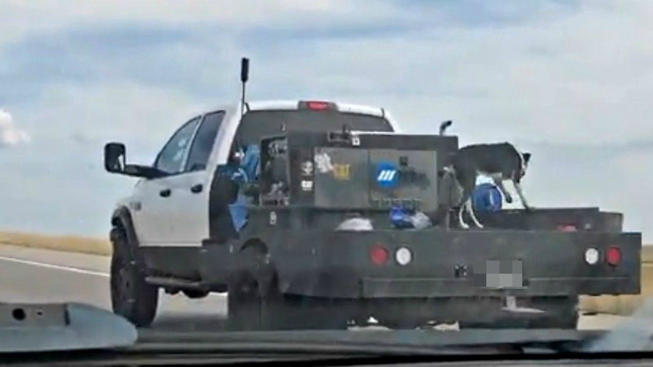 A screen capture of a video showing a dog on the back of a flatbed truck traveling on Interstate 76 at approximately 90 miles per hour.