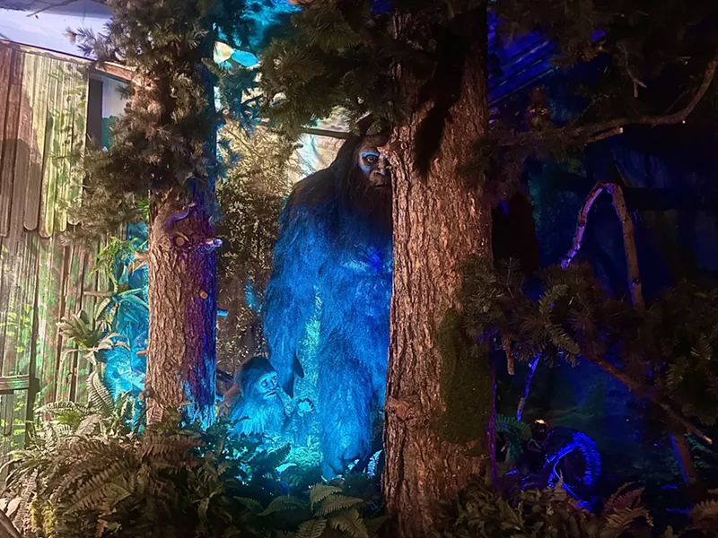 Image: A model of a bigfoot and a bigfoot baby inside the Sasquatch Outpost museum.