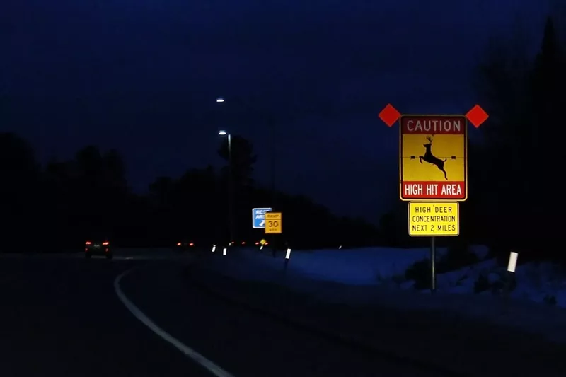 Image: Deer crossing sign at night