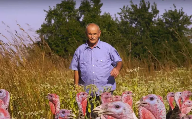 Image: Eating Animals Director Christopher Quinn Talks Turkey...and Eating Meat