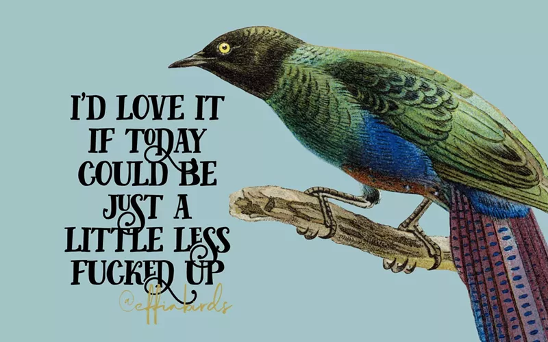 Image: A graphic of a bird