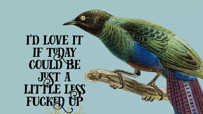 A graphic of a bird