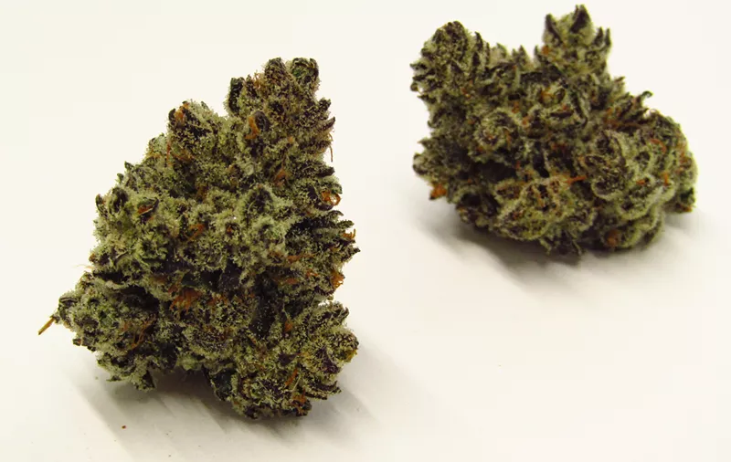 Image: Party Animal cannabis strain