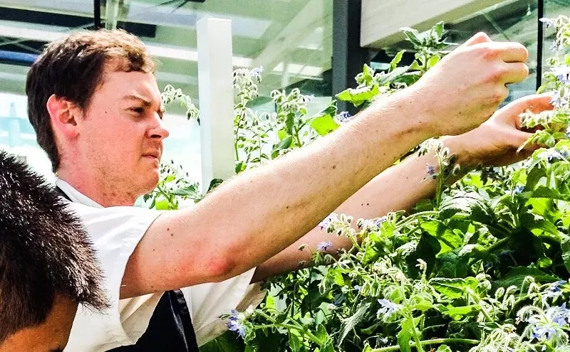 Image: Eight-Course Cannabis Dinner to Benefit Parkinson's Research