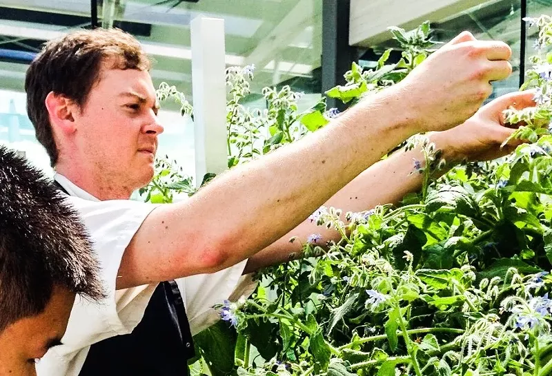 Image: Chef Clay Inscoe likes to pick his own herbs.