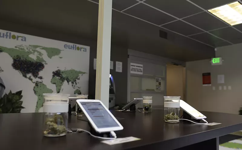 Image: JARS Cannabis