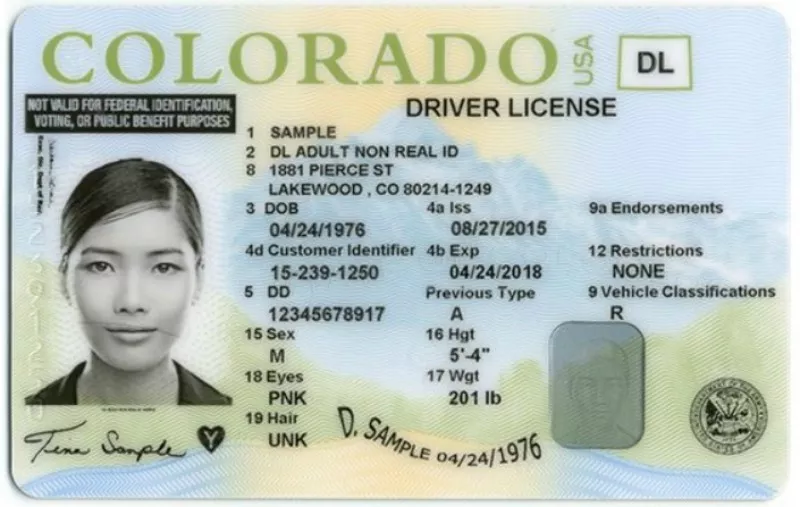 Image: A sample of what are known as SB251 driver's licenses.