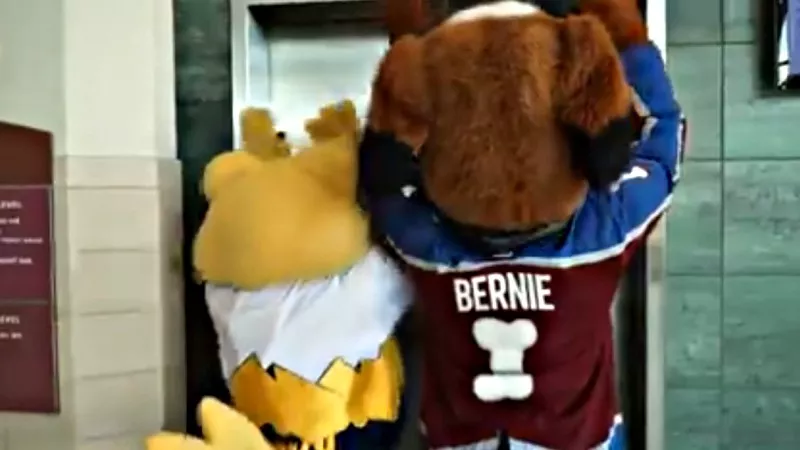 Image: Nuggets and Avs mascots Rocky and Bernie react to being blocked in a video demanding that cable and satellite services reinstate access to Altitude TV.