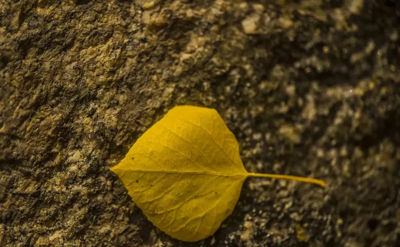Image: Denver Colorado Fall Forecast Released