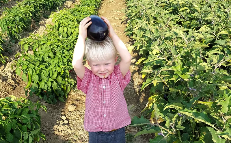 Image: Farmers' Market Finds: Harvesting on Site at Black Cat Farm