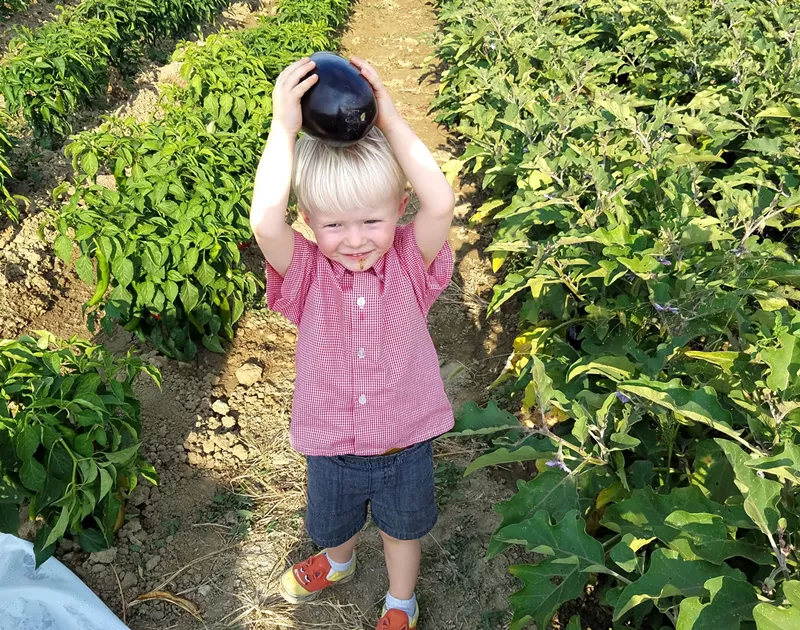 Image: The future farmer and his eggplant.