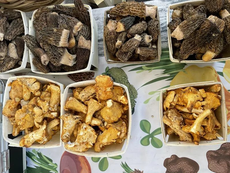 Image: Mile High Fungi offers a variety of cultivated and foraged mushrooms at its farmers' market stands.