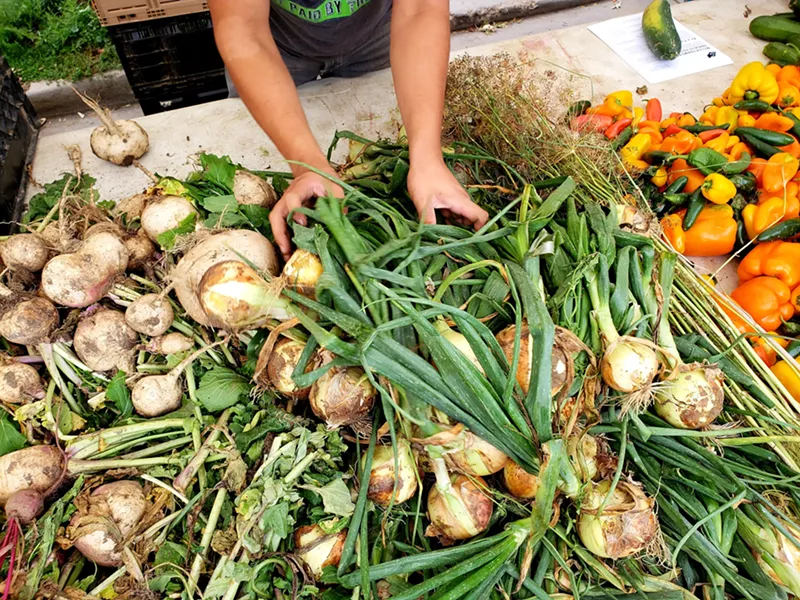 Image: A huge crop of onions from Miller Farm.
