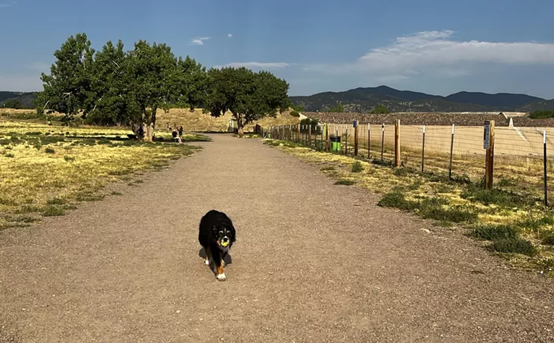 Image: Fetch! The Ten Best Dog Parks in Metro Denver
