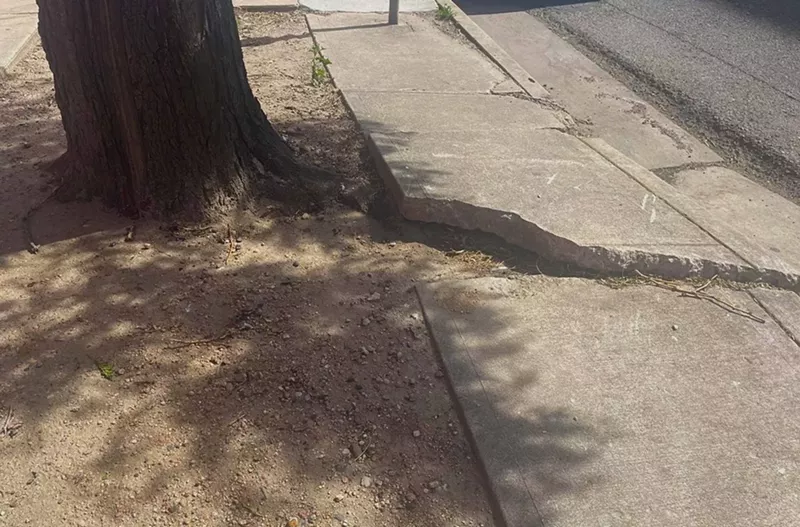 Image: cracked sidewalk next to tree in Denver