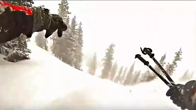 Image: The backcountry skiing spot known as Sam's Trees, where the fatal avalanche took place.