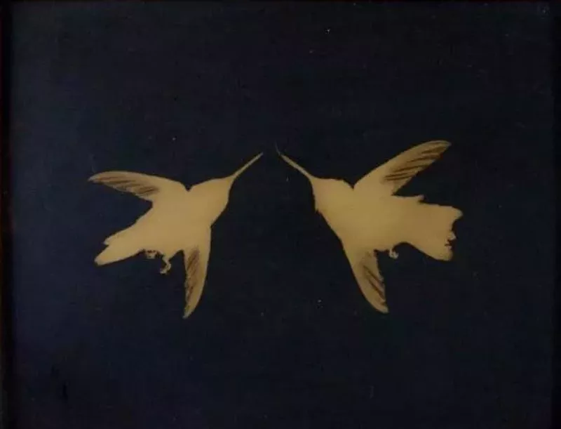 Image: Kate Breakey, "Pair of Broad-tailed Hummingbirds."