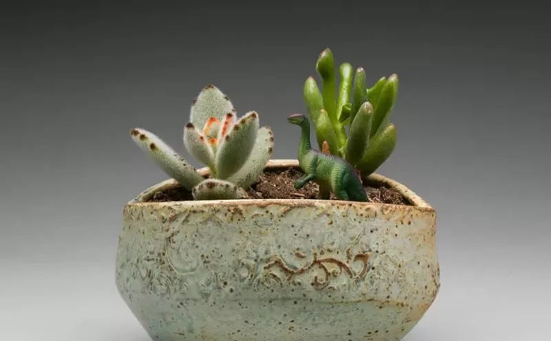 Things to Do in Denver This Weekend, September 30October 2 Westword