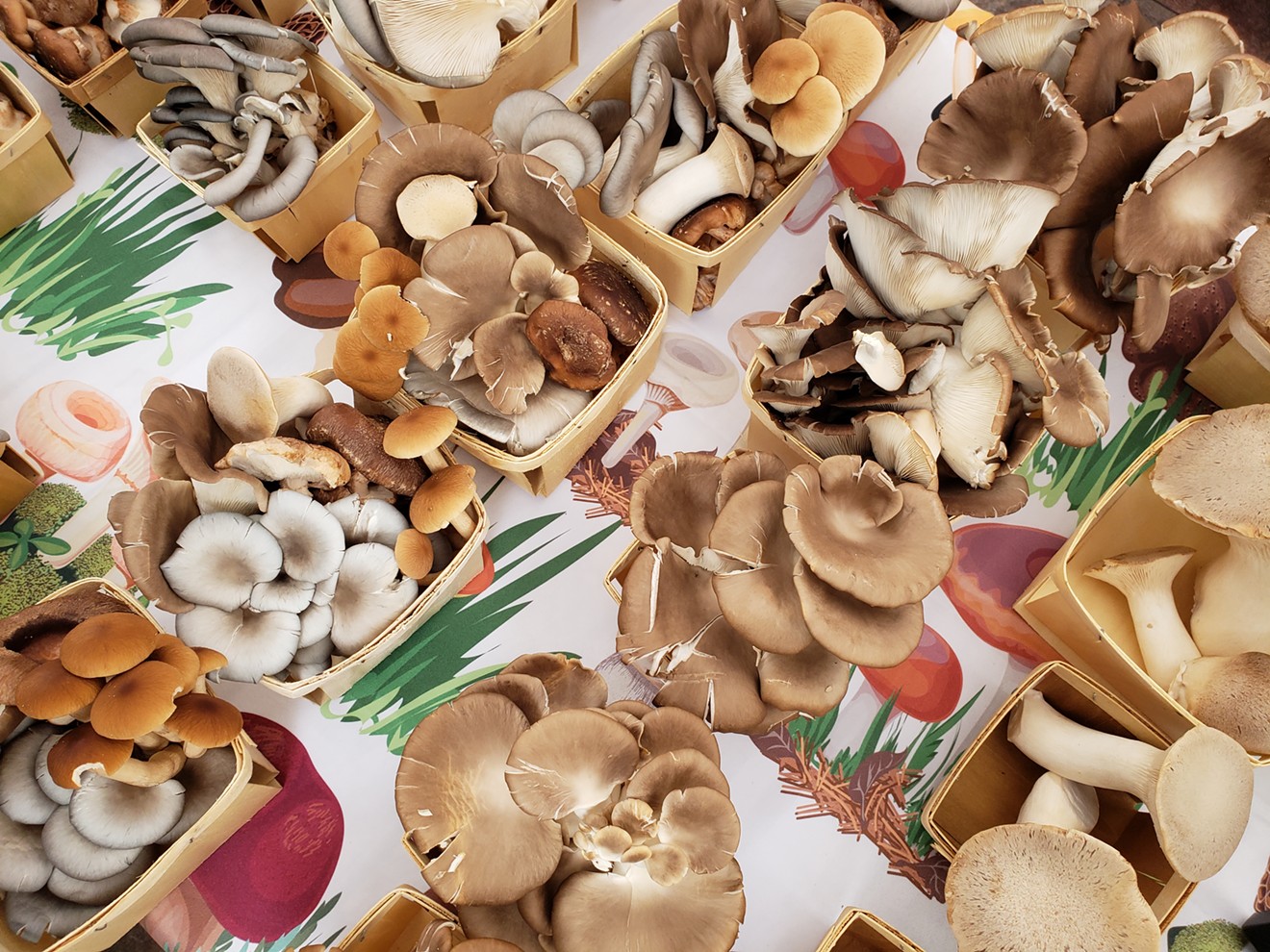 Mile High Fungi sells a wide variety of gourmet mushrooms.