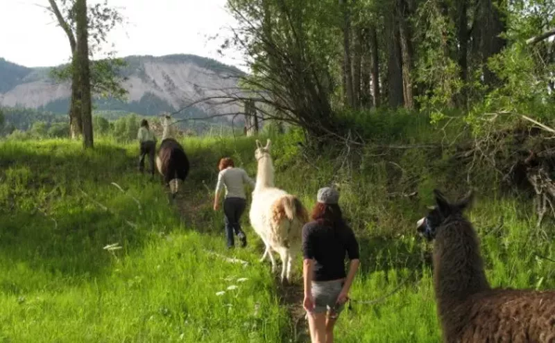 Image: Four Cannabis-Friendly Getaways in Colorado