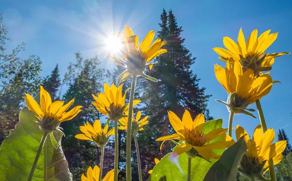 Image: Free Things to Do in Denver (and Beyond) This Week