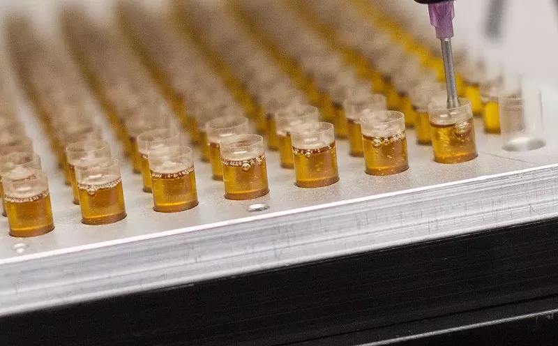 Image: CBD oil is inserted into gel capsules at a Pueblo production facility.