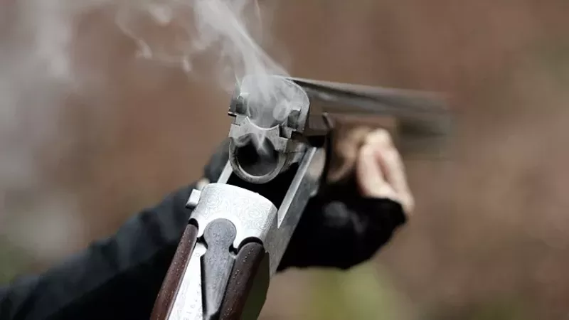 Image: How did Sol Pais buy a shotgun in Colorado?