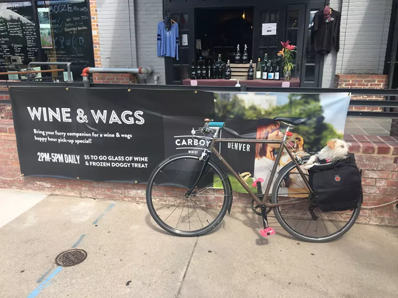 Image: Pickles gets a ride to the Carboy Winery.