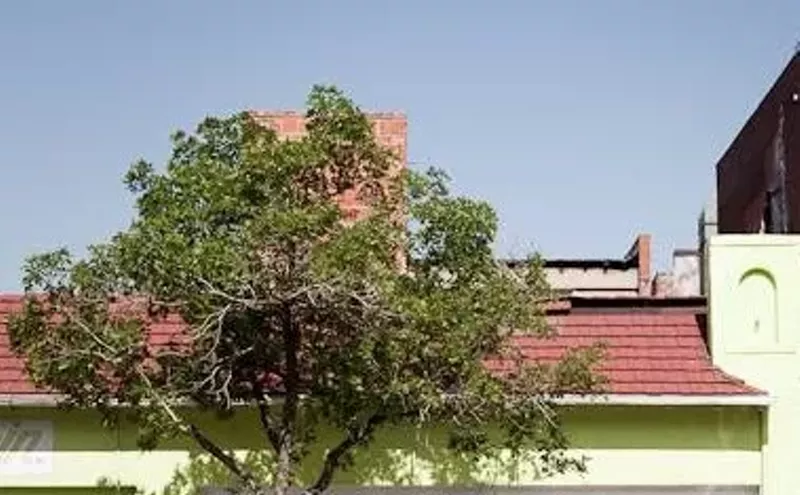 hazel park amateur swap